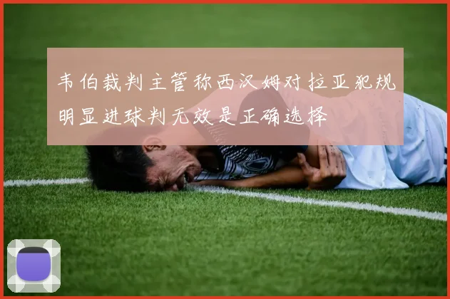 韦伯裁判主管称西汉姆对拉亚犯规明显进球判无效是正确选择