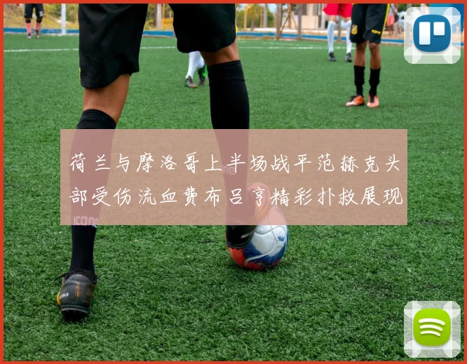 荷兰与摩洛哥上半场战平范赫克头部受伤流血费布吕亨精彩扑救展现实力